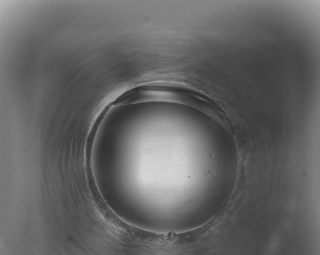 X0000077370148200610271929