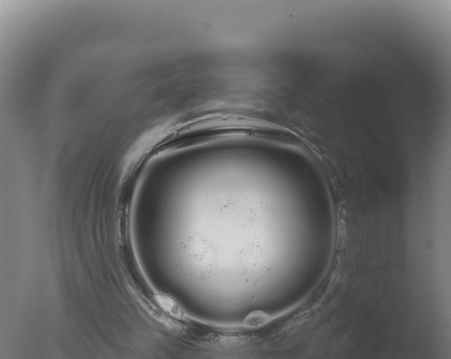 X0000077370149200610271929