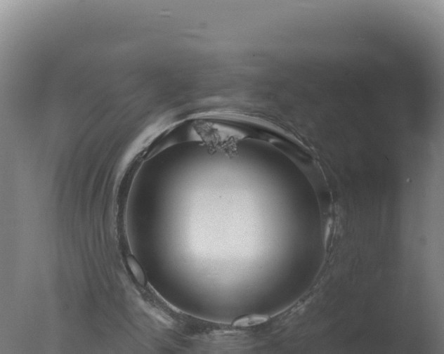 X0000077370150200610271929