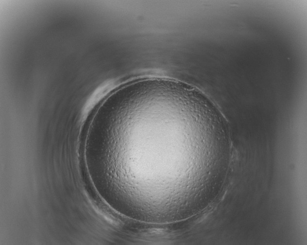 X0000077370151200610271929