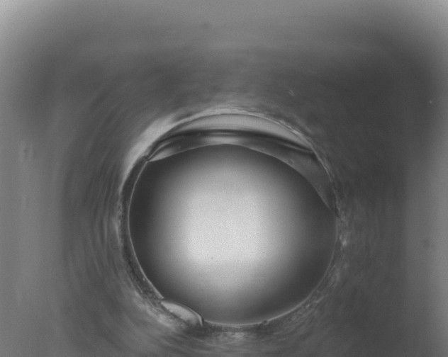 X0000077370152200610271929