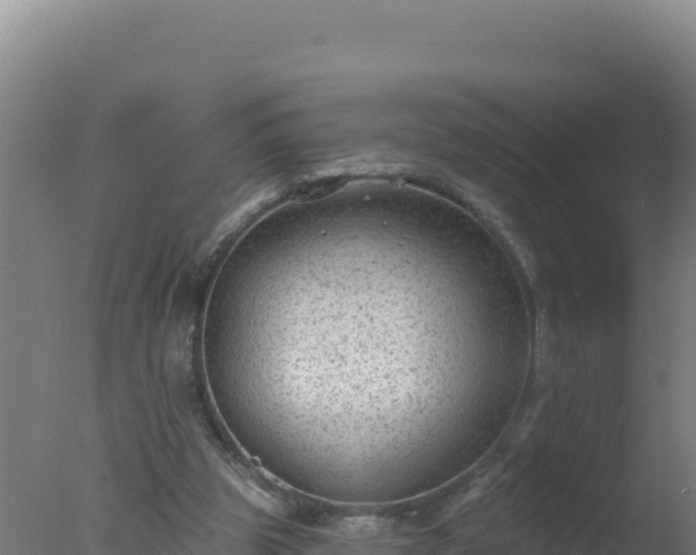 X0000077370153200610271929