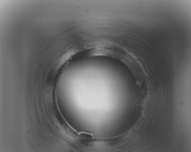 X0000077370154200610271929