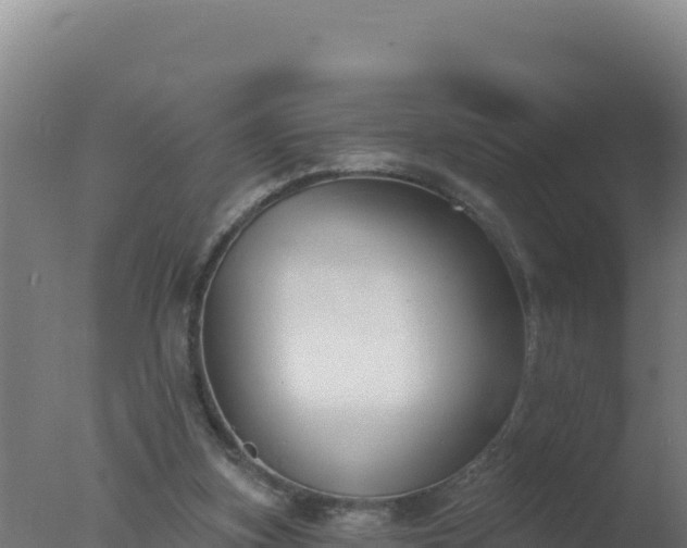 X0000077370155200610271929