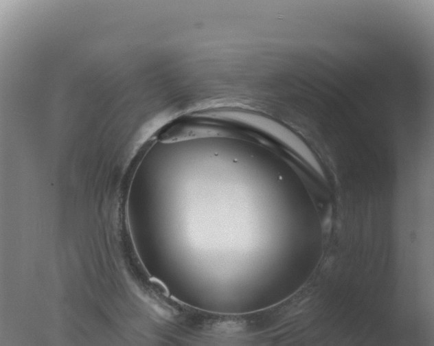 X0000077370156200610271929