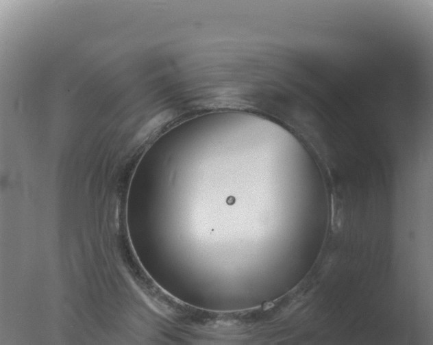 X0000077370157200610271929