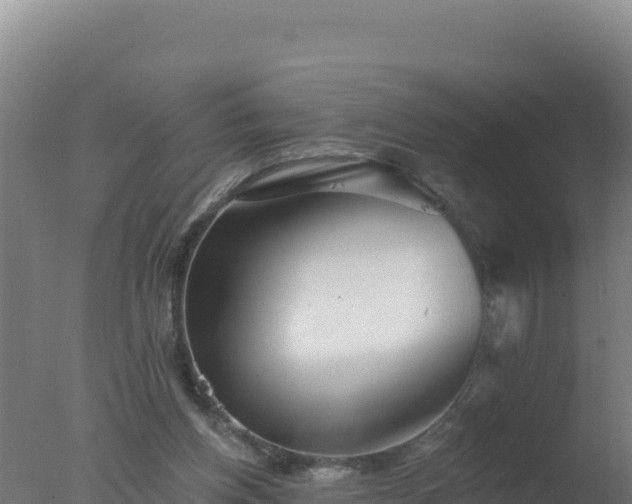 X0000077370158200610271929