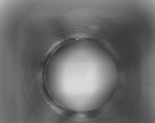 X0000077370159200610271929