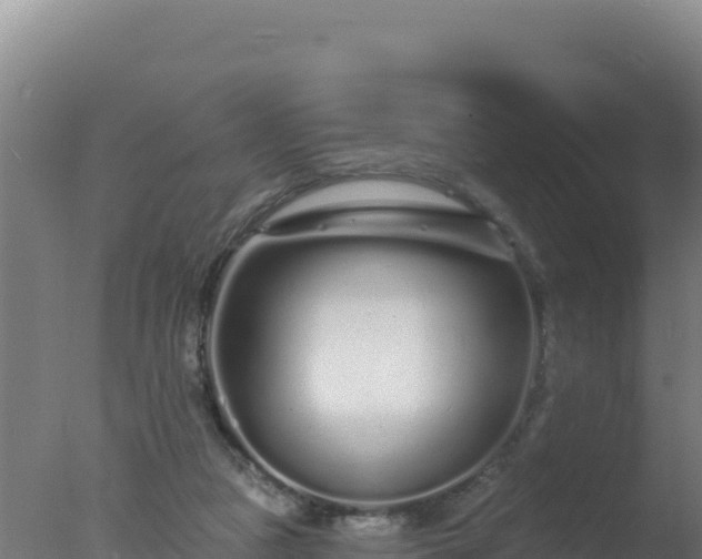 X0000077370161200610271929