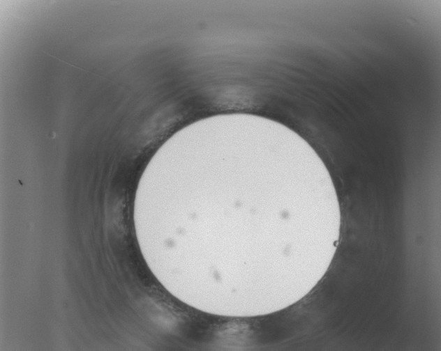 X0000077370162200610271929