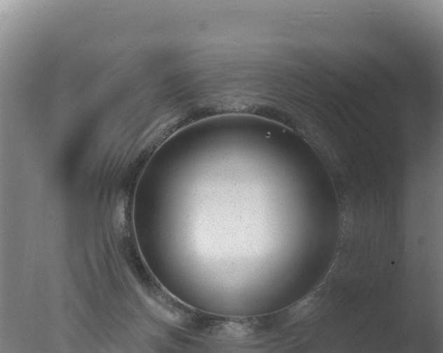 X0000077370166200610271929