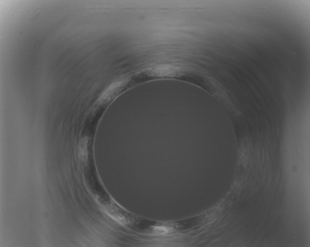 X0000077370167200610271929