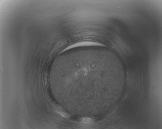 X0000077370169200610271929