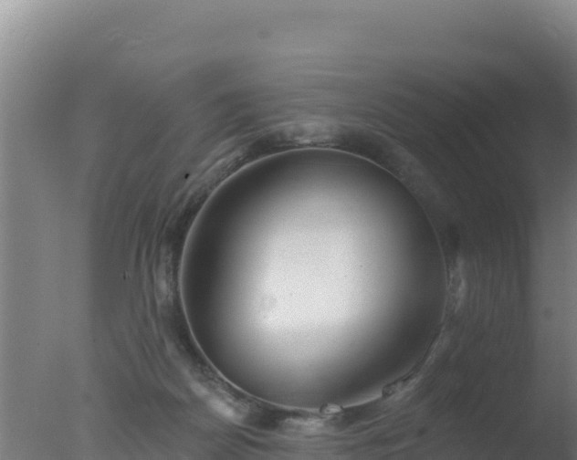 X0000077370170200610271929