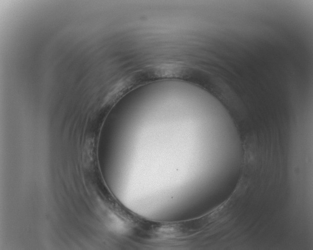 X0000077370171200610271929