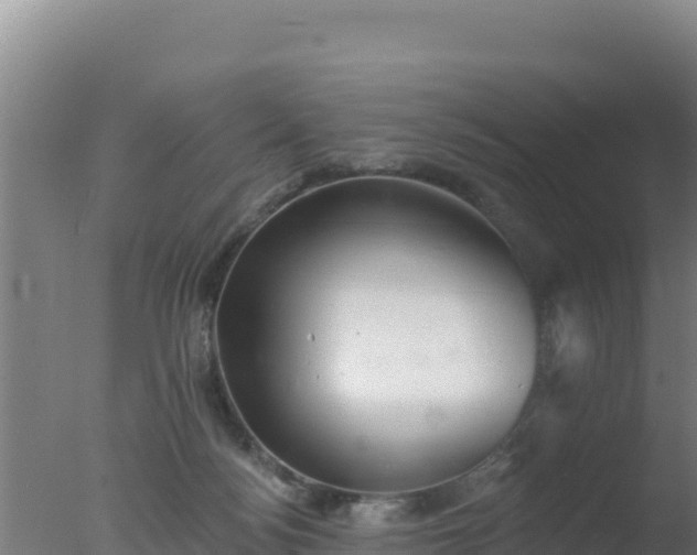 X0000077370172200610271929