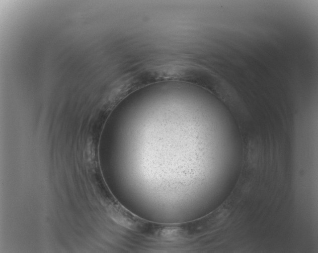 X0000077370173200610271929