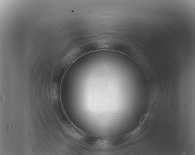 X0000077370174200610271929