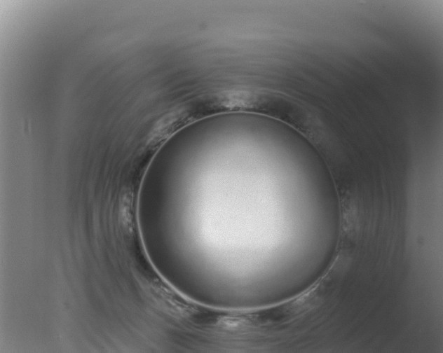 X0000077370175200610271929