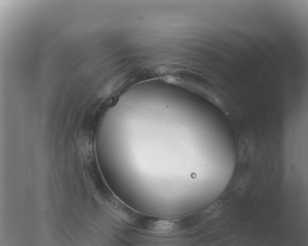 X0000077370176200610271929