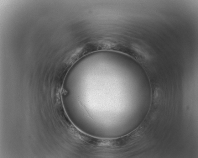 X0000077370177200610271929