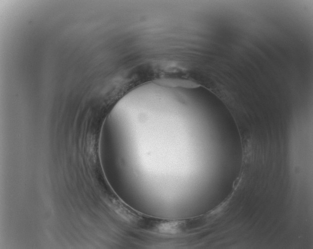 X0000077370178200610271929