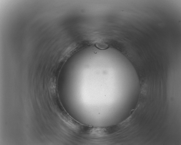 X0000077370179200610271929