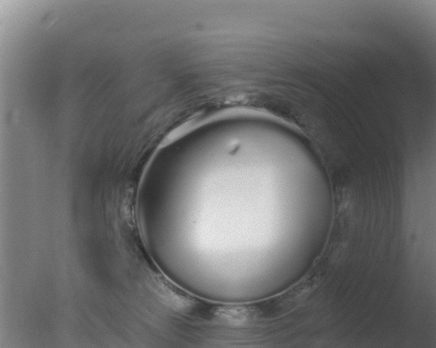 X0000077370181200610271929