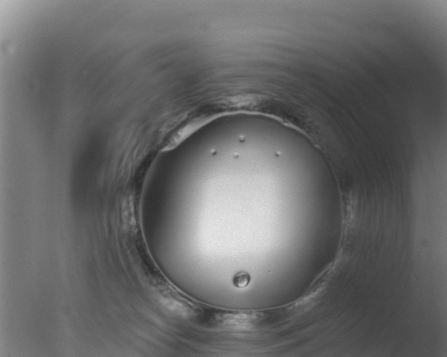 X0000077370182200610271929