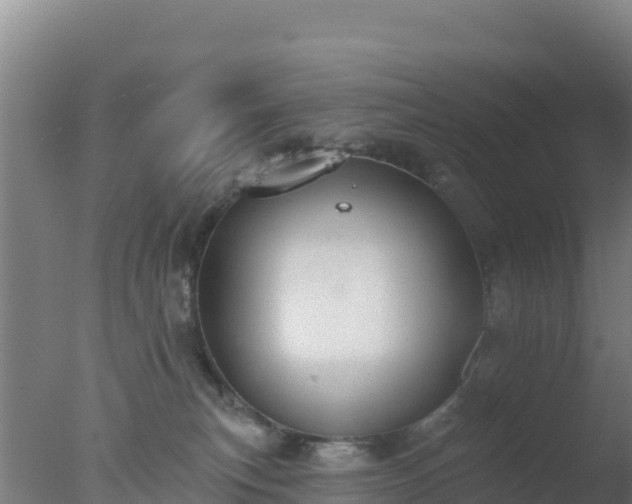 X0000077370183200610271929