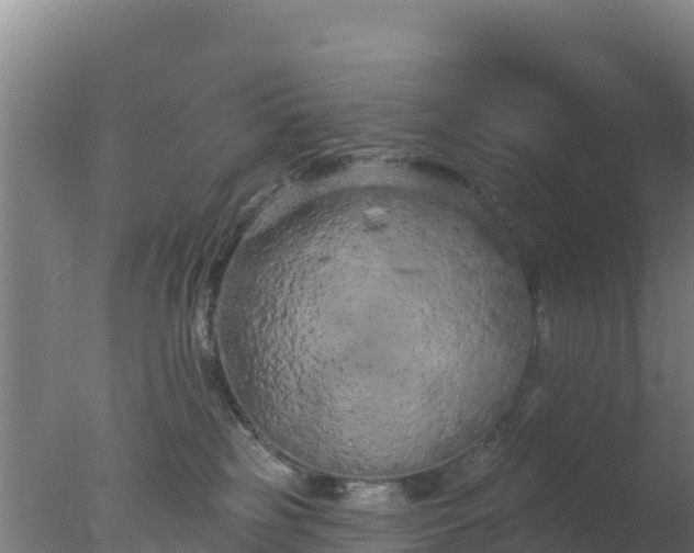 X0000077370185200610271929