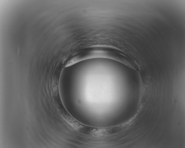 X0000077370186200610271929