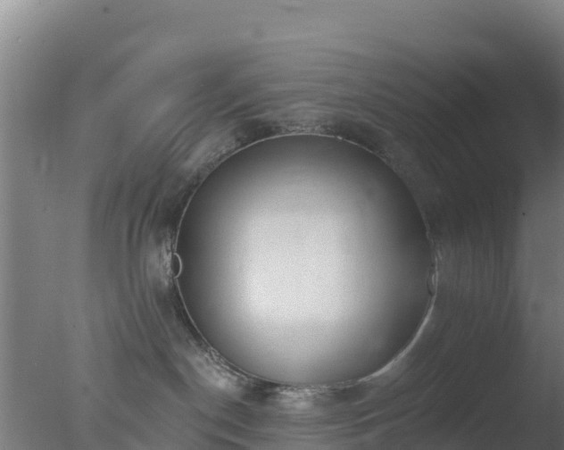 X0000077370190200610271930