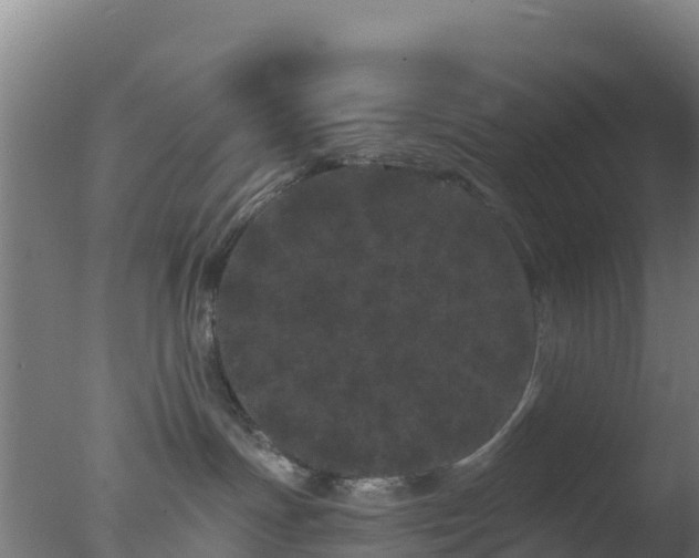 X0000077370191200610271930