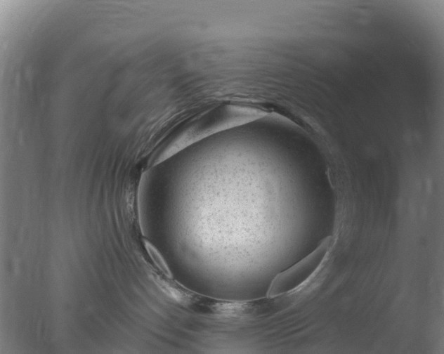 X0000077370192200610271930