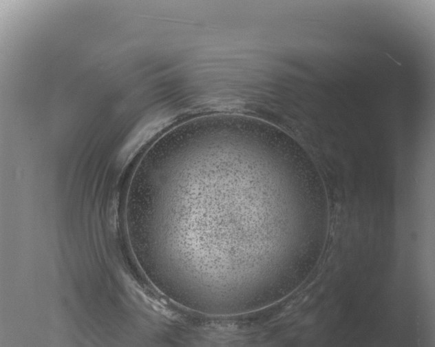 X0000077370194200610271929