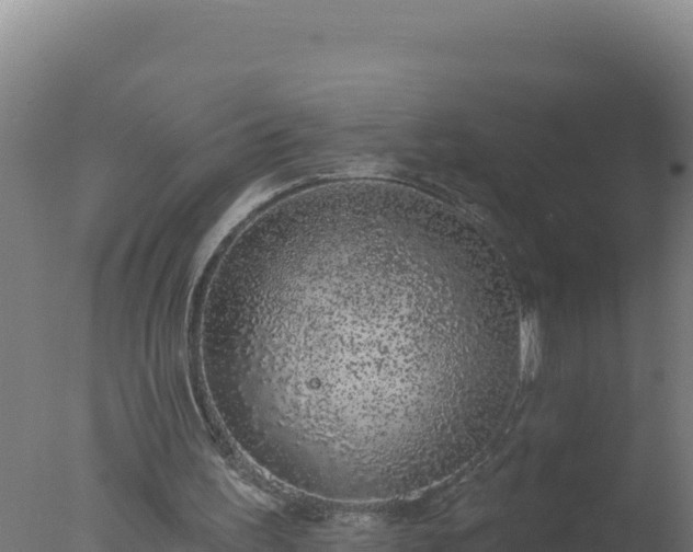 X0000077370195200610271929