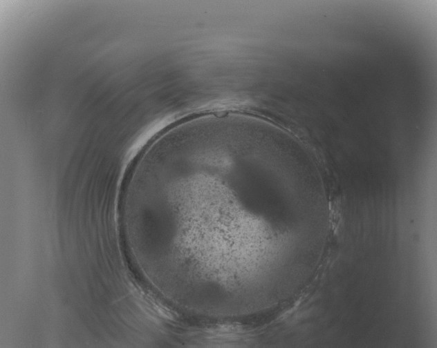 X0000077370196200610271929