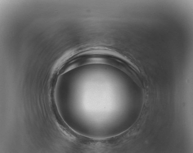 X0000077370197200610271929