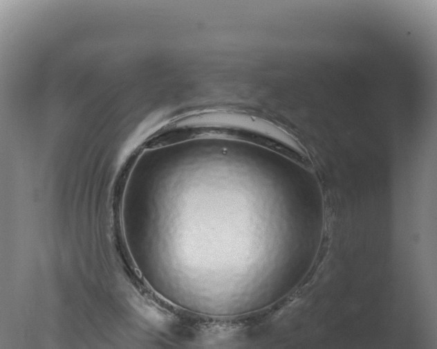 X0000077370198200610271929