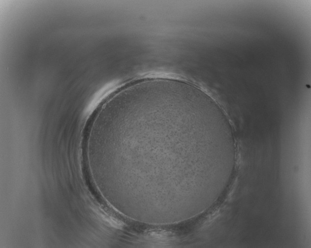 X0000077370199200610271929