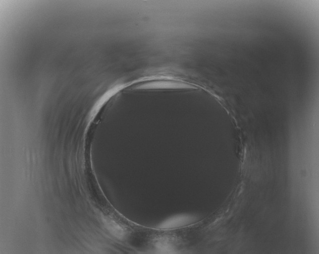 X0000077370200200610271929