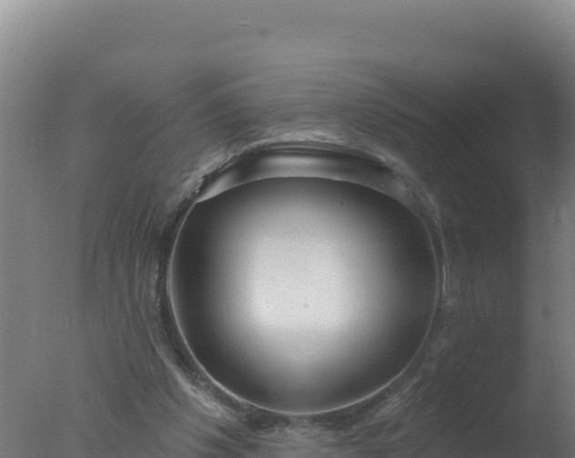 X0000077370201200610271929