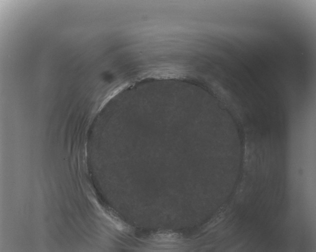 X0000077370202200610271929