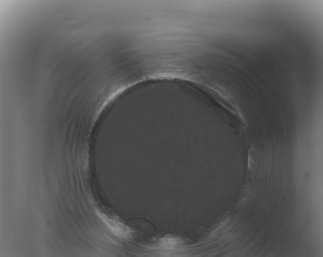 X0000077370204200610271929