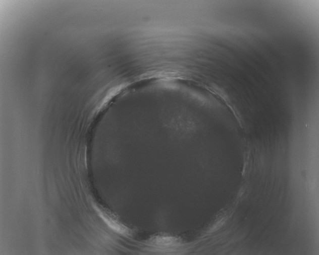 X0000077370205200610271929