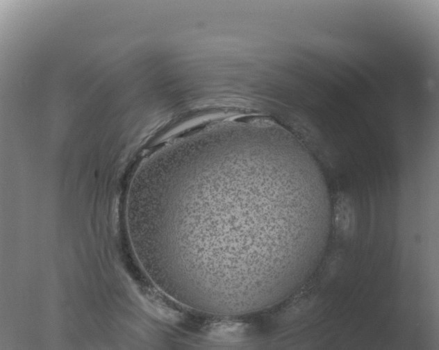 X0000077370206200610271929