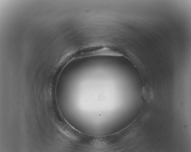 X0000077370207200610271929