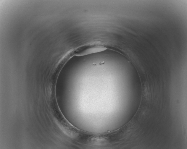 X0000077370208200610271929