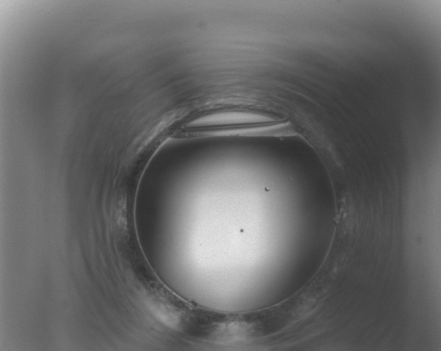 X0000077370212200610271928